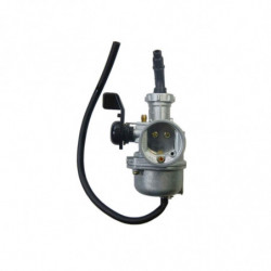 Complete Carburetor -...